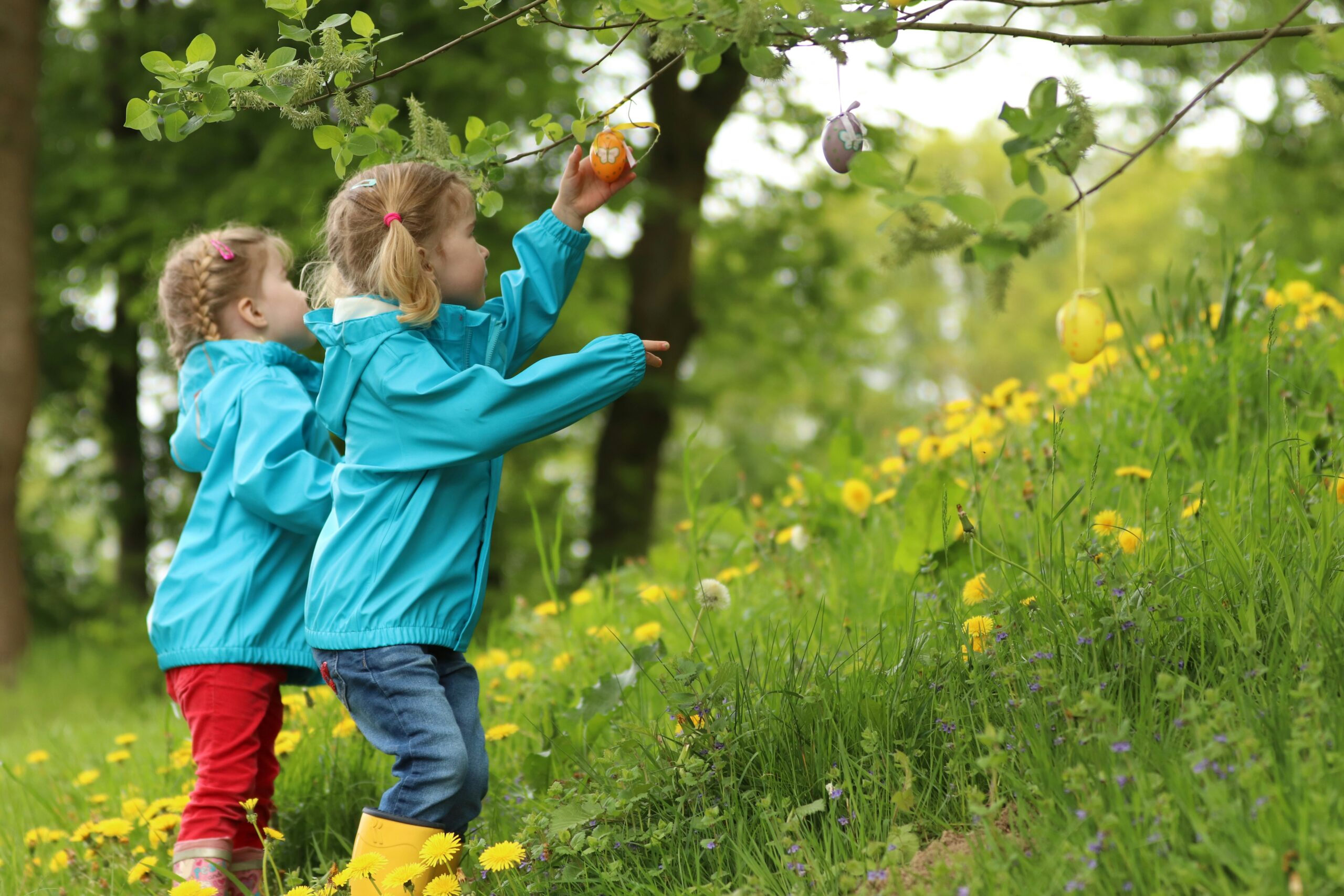 Kinder in der Natur